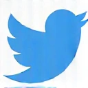 Icône Twitter